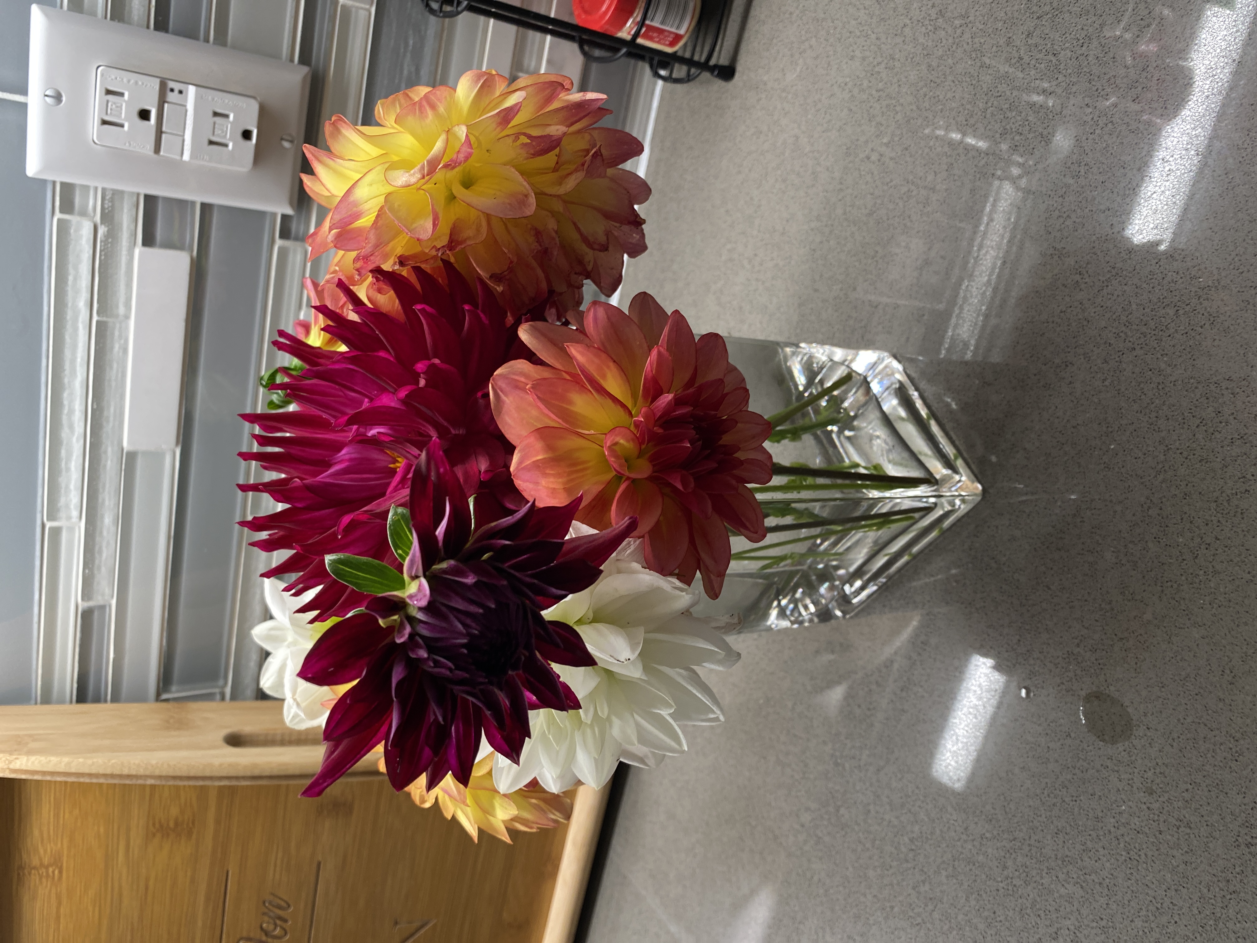 A picture of Dahlia flowers from Alex's garden